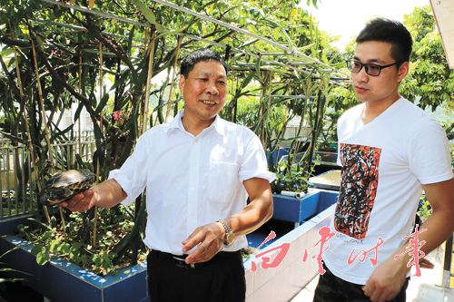 龟鳖养殖走出温室回归生态 养殖环保效益高2