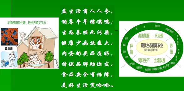 微生物+1.jpg