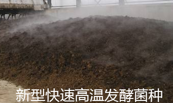 新型快速高温发酵菌种.png