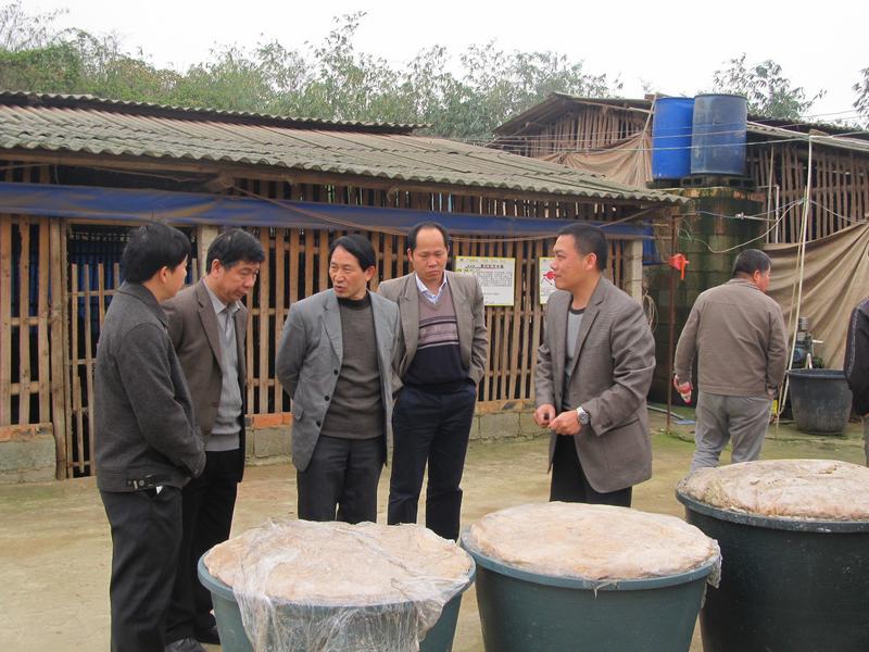 梁雨祥局长到三塘农场调研3.jpg