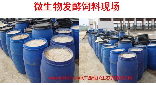 生物饲料发酵现场.jpg