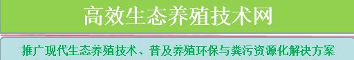 _高效生态养殖技术网