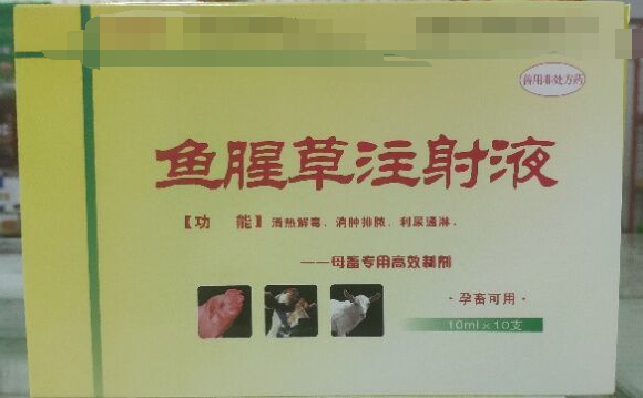 鱼腥草注射液，清热解毒，消肿排浓，利尿通琳，乳房胀痛，排尿不畅等