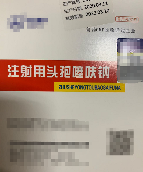 头孢赛呋钠1g  抗菌药 具有广普杀菌作用  对革兰氏阳性菌、革兰氏阴性菌均有效。其抗菌机理为抑制细胞壁的合成而导致细菌死亡。敏感菌主要有杀性巴氏杆菌、溶血性巴氏杆菌、膜膜 肺炎放线杆菌、沙门氏菌、大肠杆菌、链球菌、葡萄球菌等