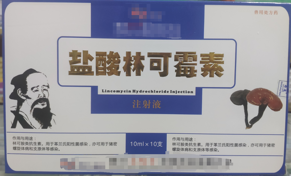 林可霉素注射液，用于革兰氏阳性菌感染，亦可用于猪密螺旋体和支原体感染