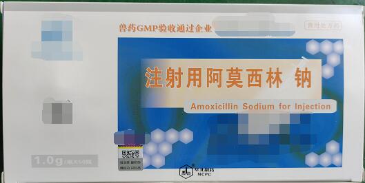 注射用阿莫西林钠-抗菌药