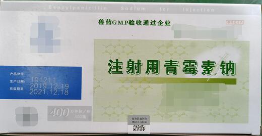 青霉素钠400万-抗菌药