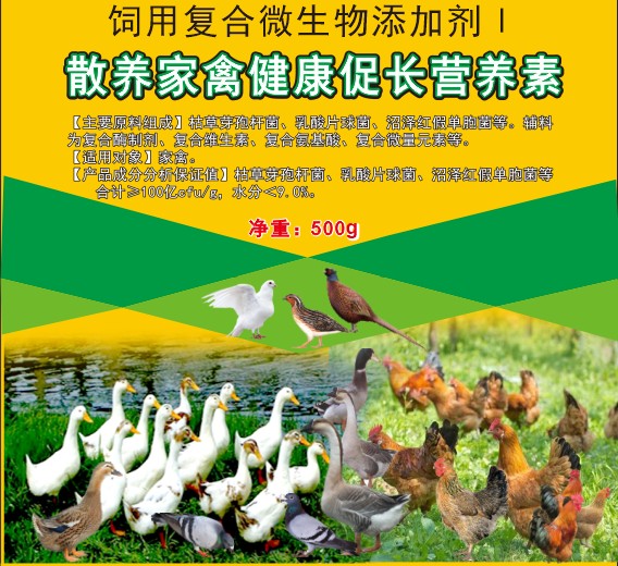 散养家禽健康促长营养素，散养土鸡土鸭促长营养素，散养土蛋鸡增产保健营养素