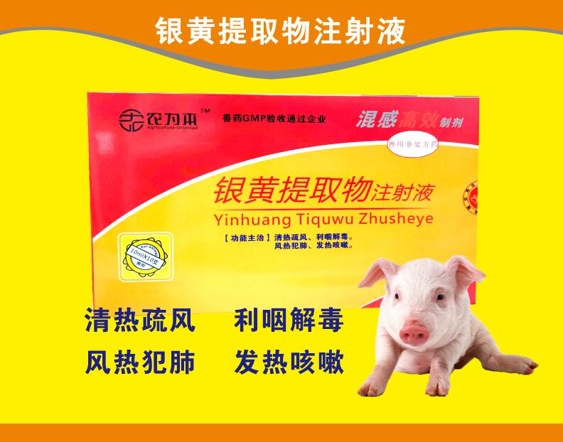 银黄提取物注射液--混感高效，清热疏风，利咽解毒，风热范肺，发热咳嗽。
