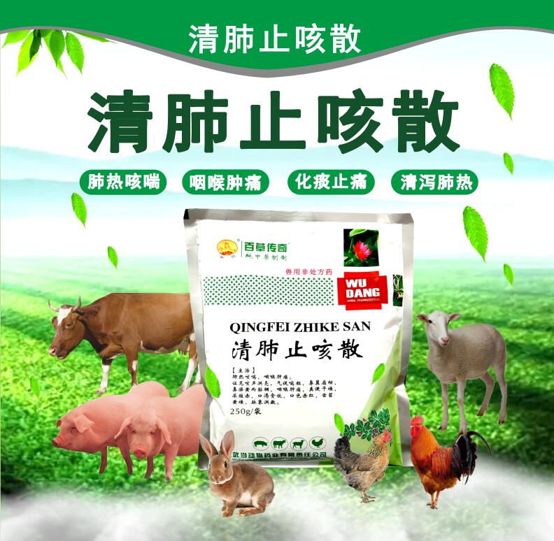 清肺止咳散 清泻肺热，化痰止痛，咳喘，咽喉肿痛