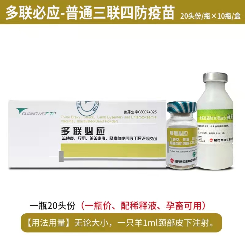 多联必应-羊快疫、猝疽、羔羊痢疾、肠毒血症四联干粉灭活疫苗