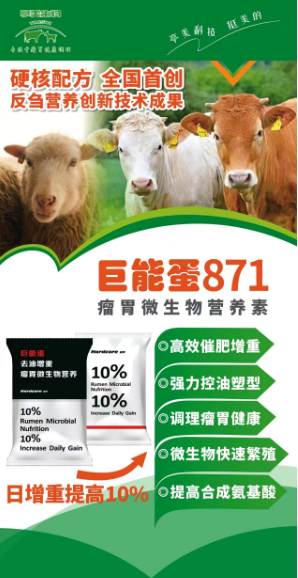 巨能蛋871（牛羊浓缩饲料）