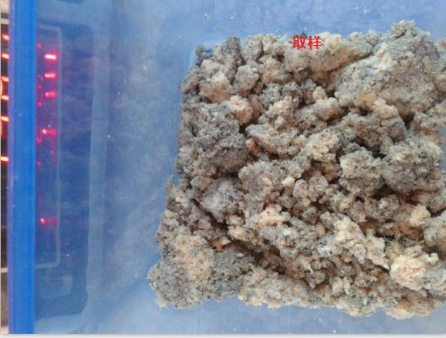 点击在新窗口打开