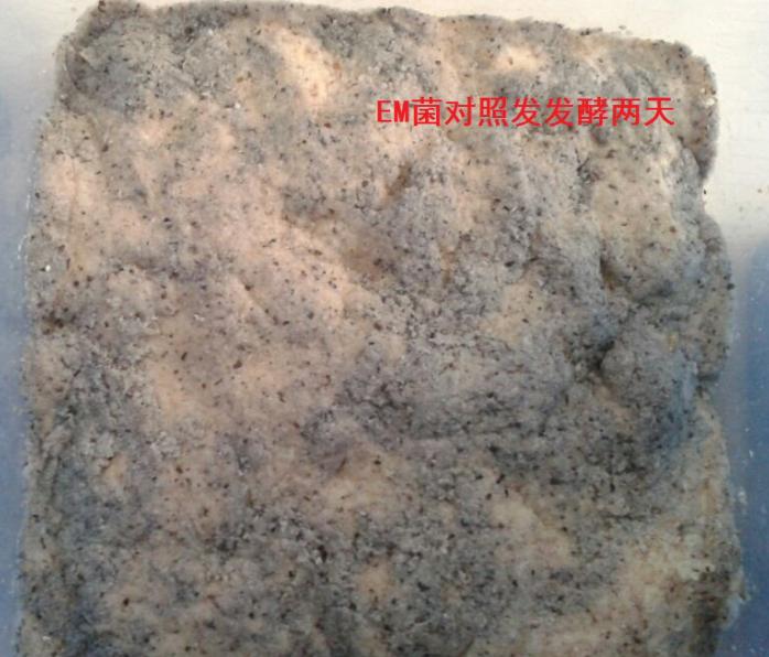 点击在新窗口打开