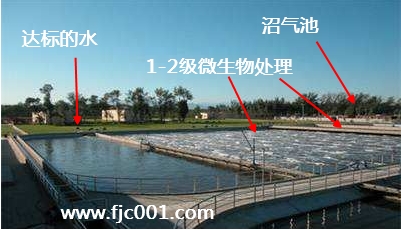 污水处理1.jpg