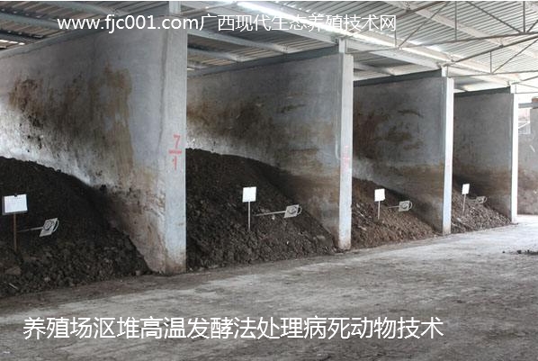 沤堆法高温发酵处理病死动物.jpg