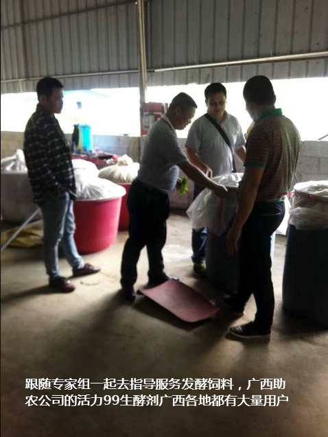 百色市靖西市生态养殖培训班3.jpg