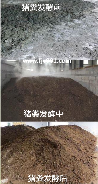 猪粪发酵前后比较.jpg