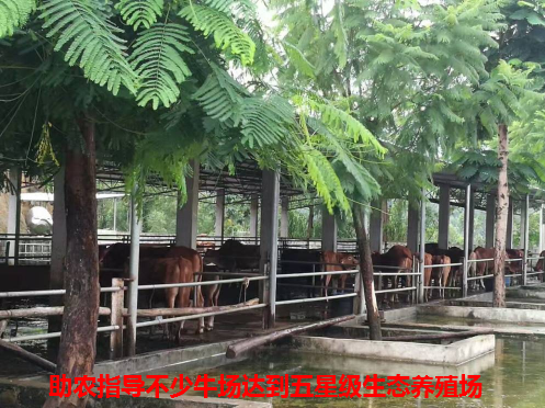 助力达标7.png