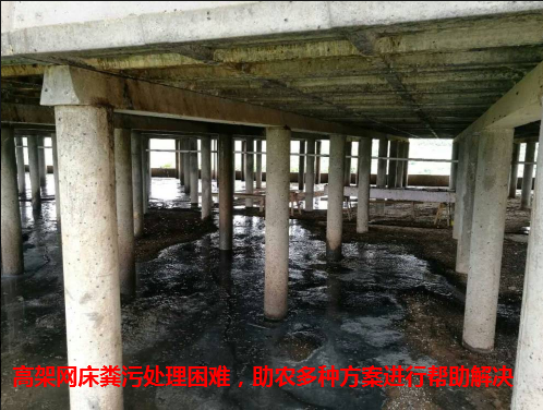 助力达标11.png