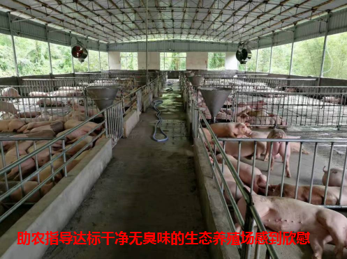 助力达标9.png