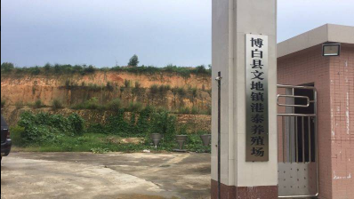 博白乡镇生态培训指导2.png
