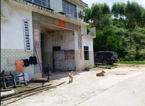 广西助农服务在养殖场一线技术员0.png