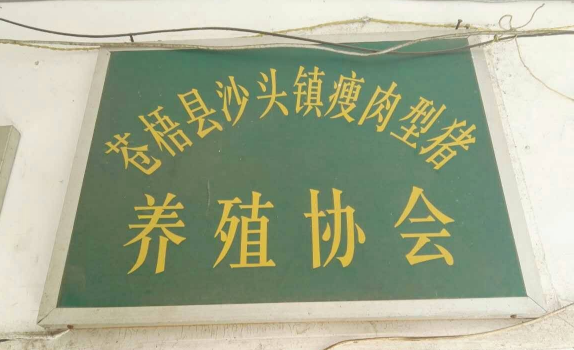广西助农服务在养殖场一线技术员2.png