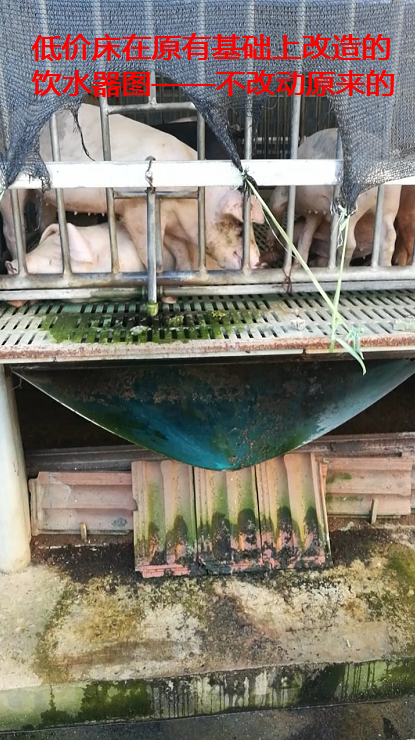 在原有饮水器的基础上改造饮水器效果.png
