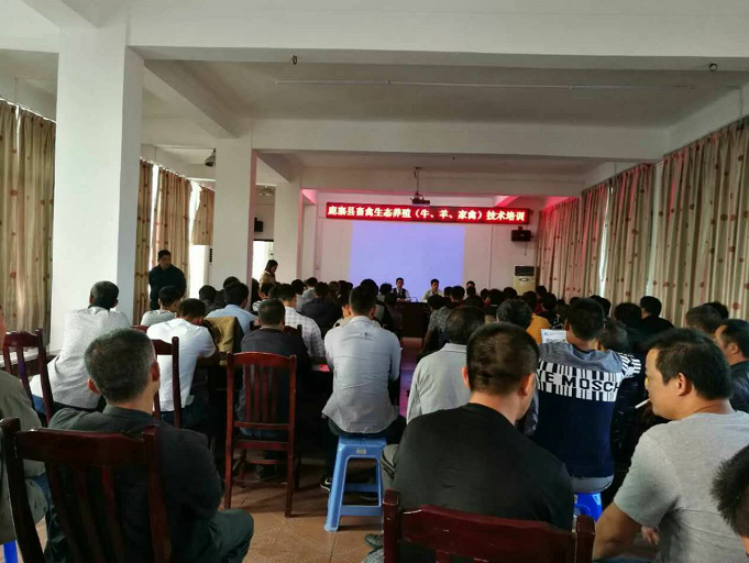 鹿寨县生态养殖1.png