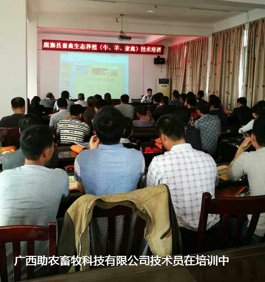 鹿寨县生态养殖3.png