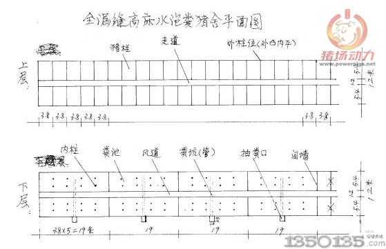 全漏缝储粪式猪舍平面图