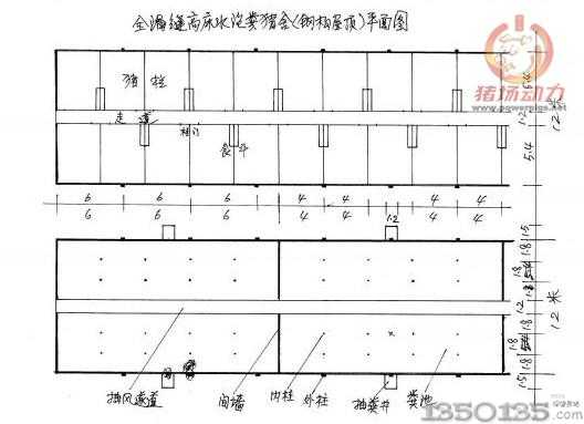 全漏缝高床水泡粪猪舍（钢构屋顶）平面图