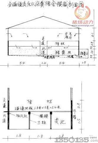 全漏缝高床水泡粪猪舍横截剖面图