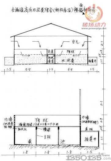 全漏缝高床水泡粪猪舍（钢构屋顶）横截面剖析图