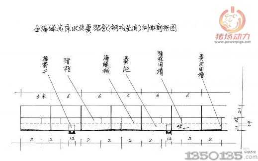 全漏缝高床水泡粪猪舍（钢构层顶）侧面剖析图