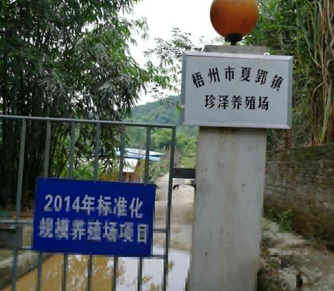 珍泽养殖场生态养殖案例1.png