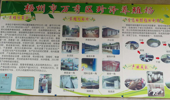 珍泽养殖场生态养殖案例2.png
