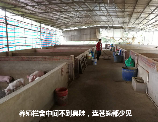 珍泽养殖场生态养殖案例4.png
