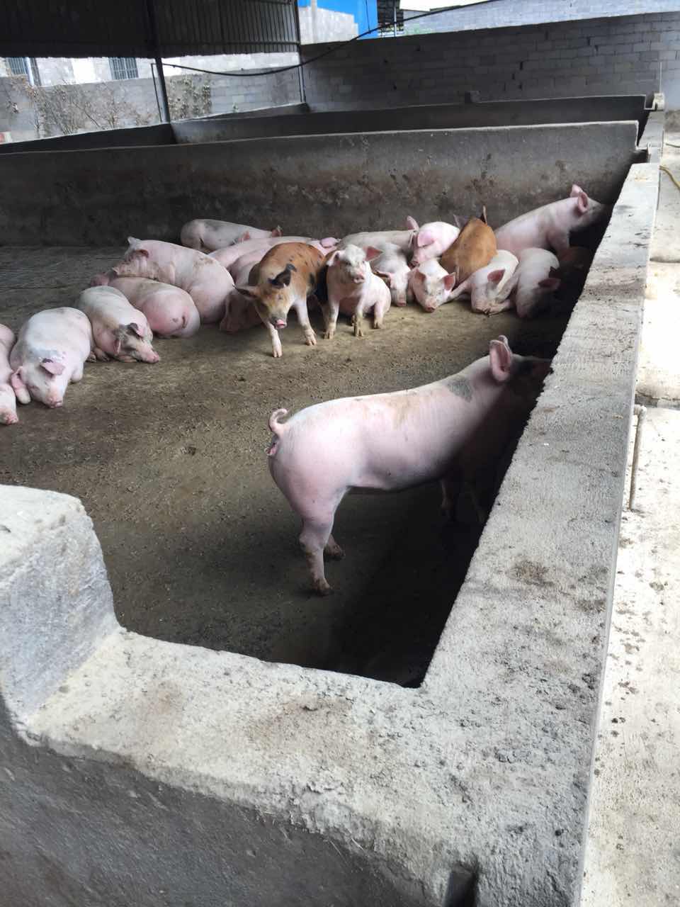 微信图片_3.jpg
