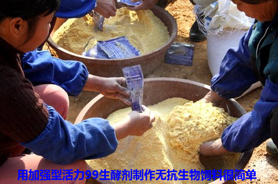 生物发酵饲料4.png