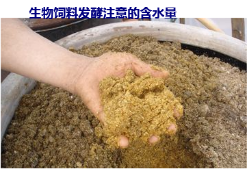 生物发酵饲料1.png