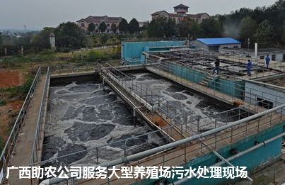污水处理现场1.png