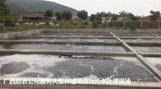污水处理现场.png