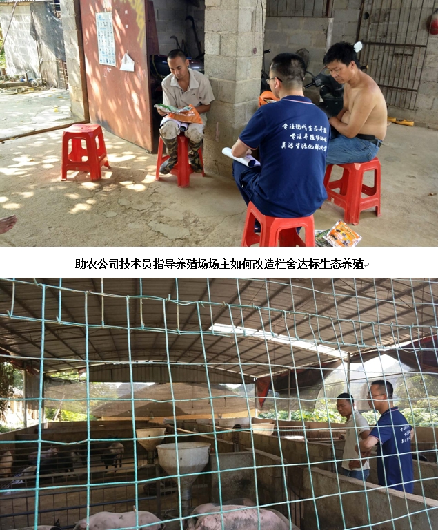 龙州2018年生态养殖培训3.jpg