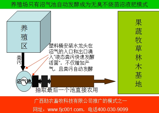 养殖场只有沼气池自动发酵成为无臭不烧苗沼液肥模式.jpg