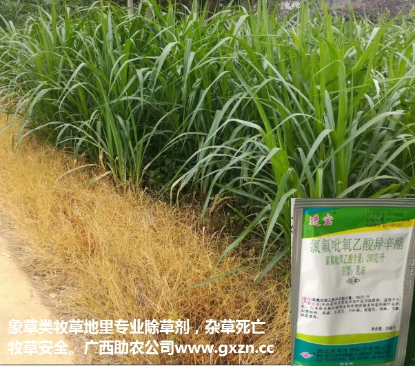 牧草除草剂2.jpg