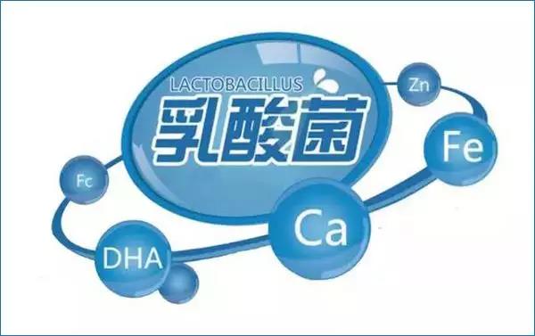 家禽发酵饲料乳酸菌菌株的筛选