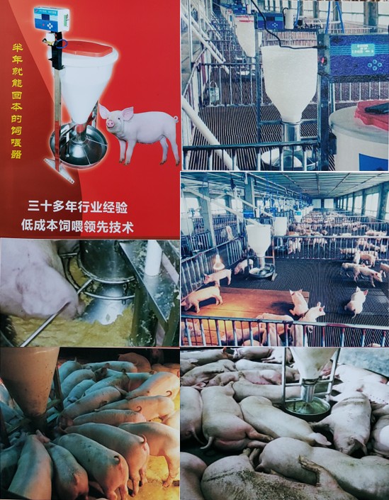 助农养猪液体饲料智能饲喂系统1.jpg