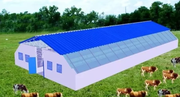 暖棚式牛舍单体建筑效果图